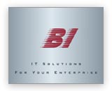 IT Solutions Flash Intro